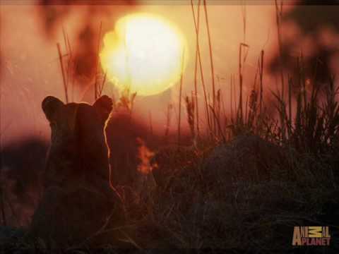 VirusJ & Justin Xara - Return to Innocence