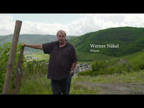 Ahr – Das Tal der roten Traube