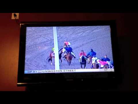 Little Mike Sunshine Million 1/28/12