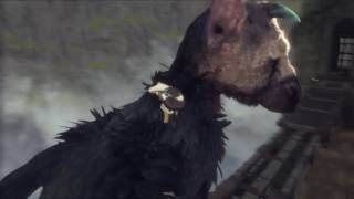 Leap of Faith ► The Last Guardian #19 ► ThomaGoo and Dragon Goddess