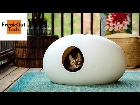 5 Incredible Inventions For Your Cat #3 ✔