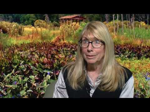 Greenable Woodbridge: Guests, Phillip Scott, Mike Gelin