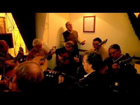 Luís Esteves, "Fado Bailado" - "Estranha forma de vida"