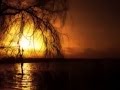 SHOW ME THE WAY BACK TO YOUR HEART ...