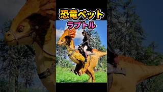恐竜好きはたまらん！特殊ペット"ラプトル" #紅の砂漠 #CrimsonDesert #shorts