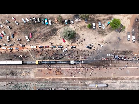 The Great Train Race 2024 Heidelberg Highlights