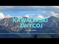 Baciary - Kawalerski Zwycoj (Levelon Remix) Baciary - Kawalerski Zwycoj (Levelon Remix)