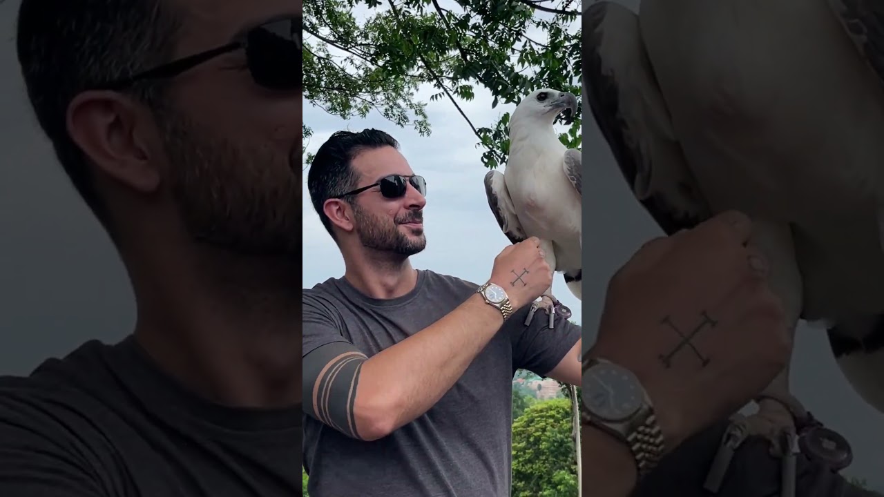 YouTube Short thumbnail