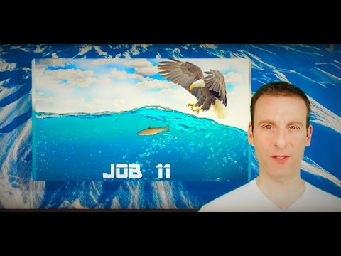 Job Chapter 11 Summary and What God Wants From Us
