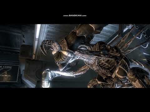 Empress/Queen Escape