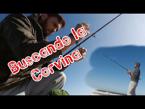 En busqueda de las corvinas 🐟//Atlantida, Las toscas,Canelones, Uruguay// Entre cañas y aparejos 🎣