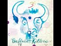 03 • Buffalo Killers - Time Was Shaping (Demo Length Version)