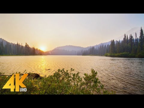 4K Wildfire Smoky Sunset at Mount Rainier National Park - Peaceful Beauty amidst Natural Disaster