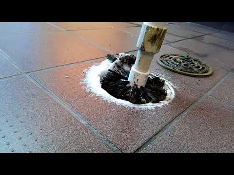 Drain Fly Clean Out in Brick, NJ restaurant