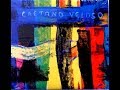 Caetano Veloso - Não Enche - (Com Letra Na Descrição)