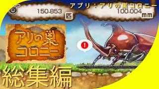 【総集編】アリの巣コロニー＜全図鑑回収！＞