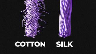 The Crazy Engineering of Silk