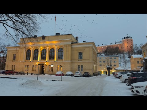 Uppsala, Sweden | All 13 Student Nations Walking Tour 4K