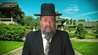 פרשת אמור – תלמידי רבי עקיבא מתו על שלא נהגו כבוד