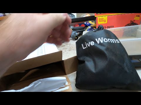 Unboxing worms from Uncle Jim's Worm Farm