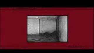 MZ 412 - Introspektion