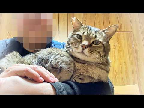 深夜に整う猫がかわいい【元野良猫・癒し】