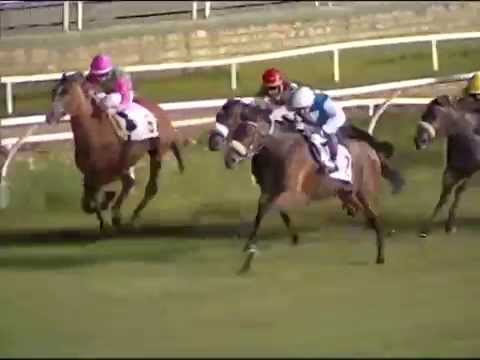 Galoppo 19/07/2014 - Corsa 5