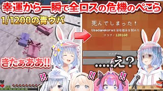 【新ホロ鯖】念願の青ウパでご機嫌からの一瞬で全ロス危機になってしまうぺこちゃんを救う救世主【兎田ぺこら/天音かなた/風真いろは/綺々羅々ヴィヴィ】