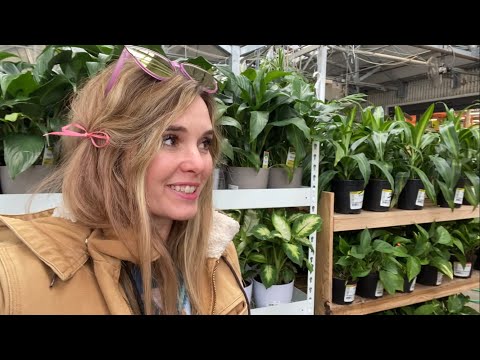 Houseplant Shopping and Planting...In a Winter 🥶 Storm!