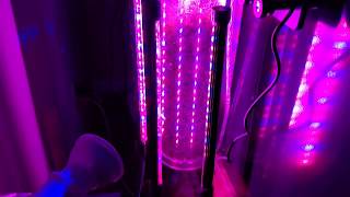 No Heat Chaeto Reactor - An Alternative to LED Strip Lights