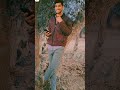 Khesari Lal New Movie Song दिल मारsता उफान DIL MARATA UFAN Bhojpuri Movie So