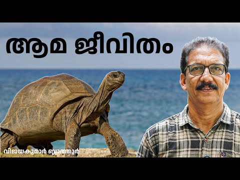 ആമ  ജീവിതം  Ancient Wanderers: Exploring the World of Turtles and Tortoises #turtle #turtoise #fact