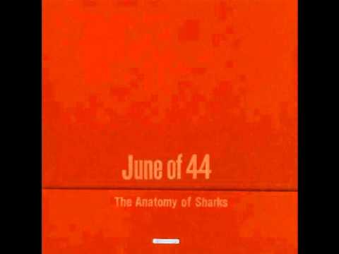 June of 44 - Sharks & Sailors