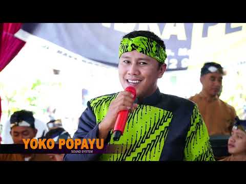SRAGENAN Cokek Mania | CUWO SEMU WONG AYU - POPAYU AUDIO | NEW CANDRA PESONA