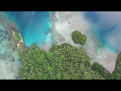 Truk Lagoon "Then & Now" Dive Bomber