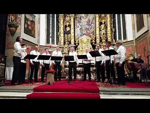 "Vecerni Ave" - Die Vokalsolisten Kärnten (live)