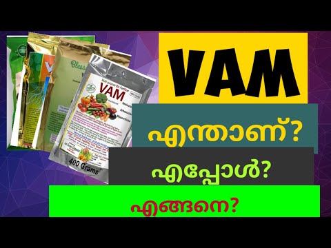 എന്താണ് VAM??#Vesicular Arbuscular Mycorrhiza#underthesky#malayalam