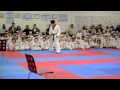 Taekwondo Flying kick