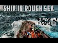 SHIP IN ROUGH SEA ||  HOW DO WE MANAGE!!!!!  2021 vlog 2