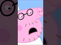Not The Tomato Ketchup Shorts Peppapig