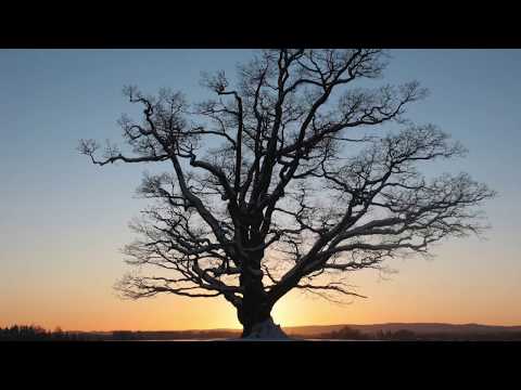 Norway Photos from Ås-Norway. NMBU is located in Ås.