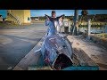 $1,000,000.00 FISH {Catch Clean Cook} GIANT BlueFin TUNA!!!