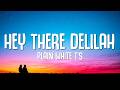 Plain White T S Hey There Delilah Lyrics