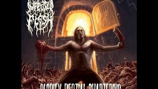 Infected Flesh - Glorify Bestial Quartering (guitar cover)