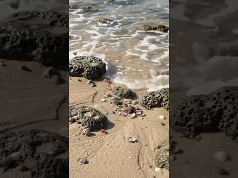Praia de Miaí de cima Coruripe Alagoas.