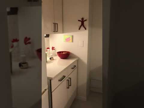 video 1