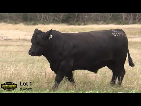 GRANITE RIDGE QUIGLEY Q173