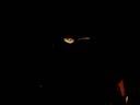 Stranger into Starman - Aimee Mann