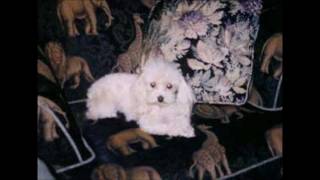 I Haven't Got Anything Better To Do - Fern Amaral