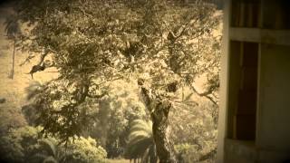 Video for Max Richter's "Berlin by Overnight"